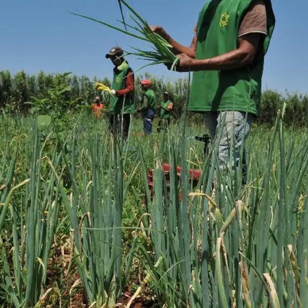 Foto: Arquivo/Valter Campanato/Agência Brasil