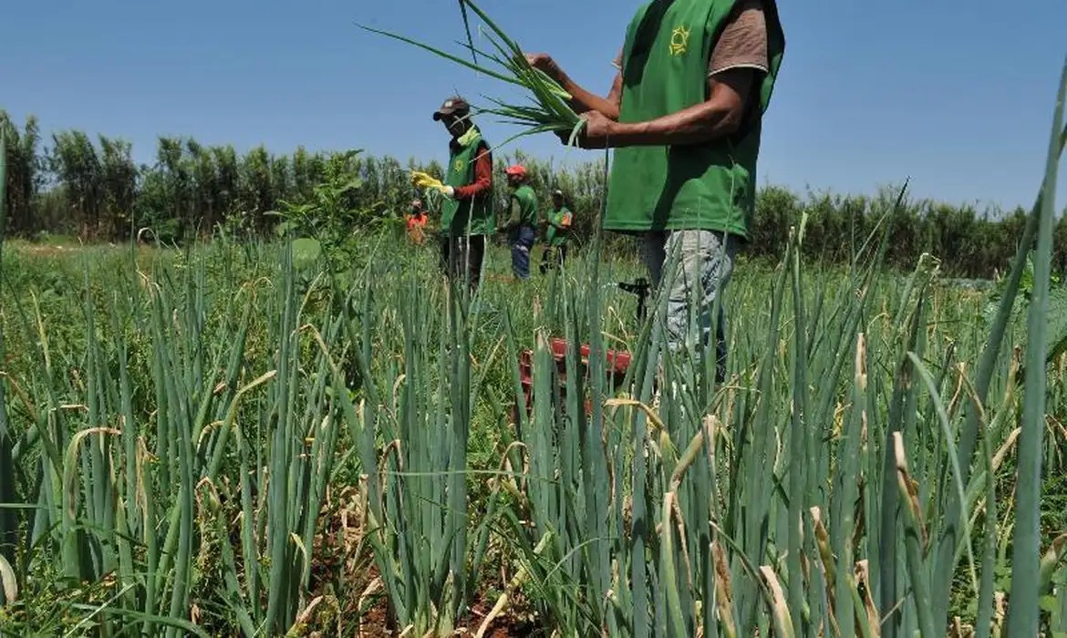 Foto: Arquivo/Valter Campanato/Agência Brasil