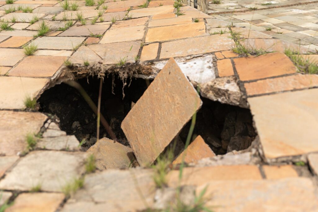 selecao parnabsb joaostangherlin icmbio 9829