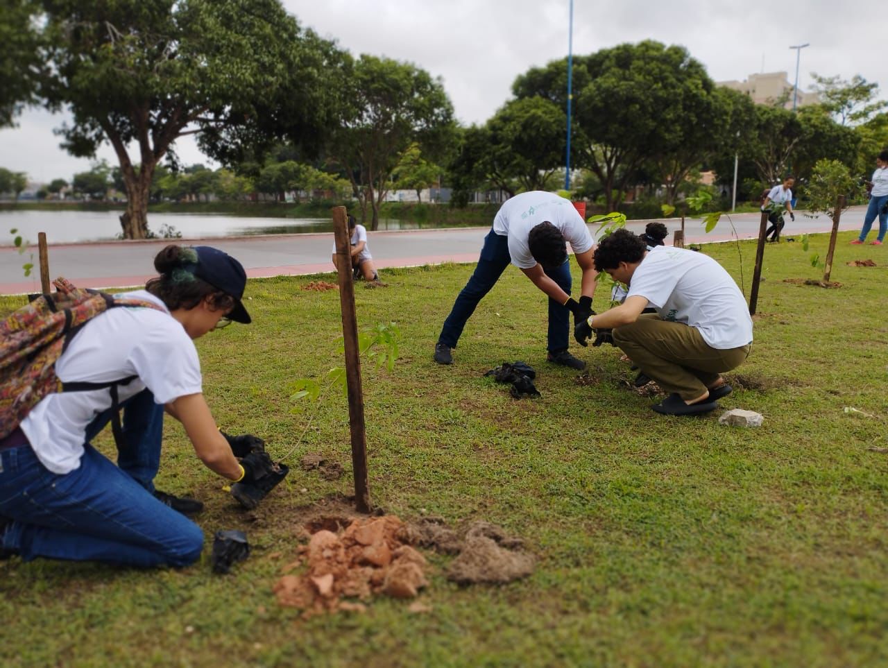meio ambiente alunos