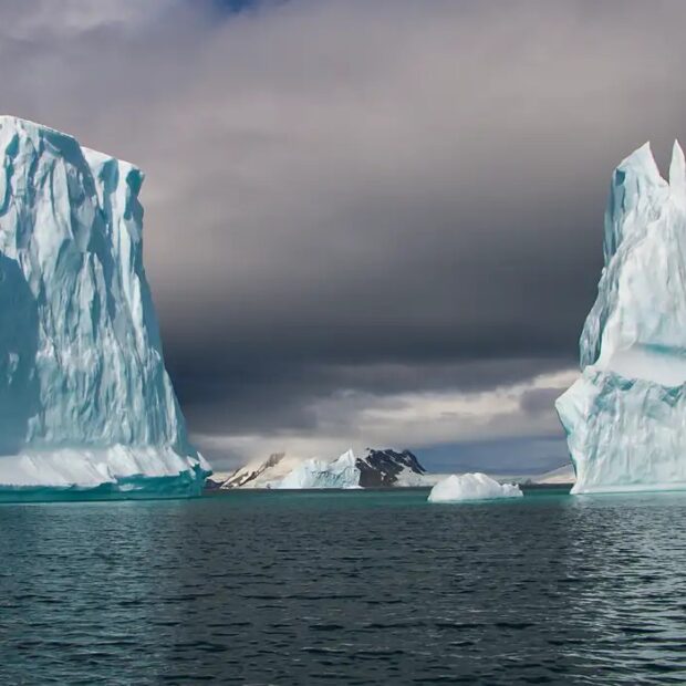 Foto: Aline Martinez/Divulgação