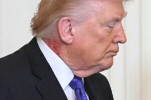 us politics trump