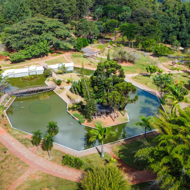 dcim102mediadji 0003.jpg