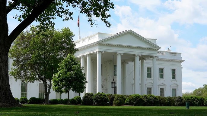 Foto: Reprodução/AFP