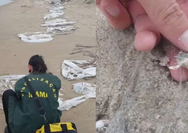 ibama multa governo pr