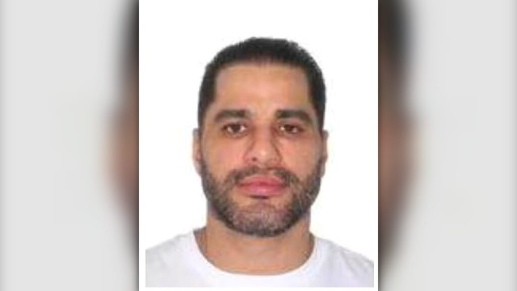 capa noticia 2133x1200 5 1 1024x576