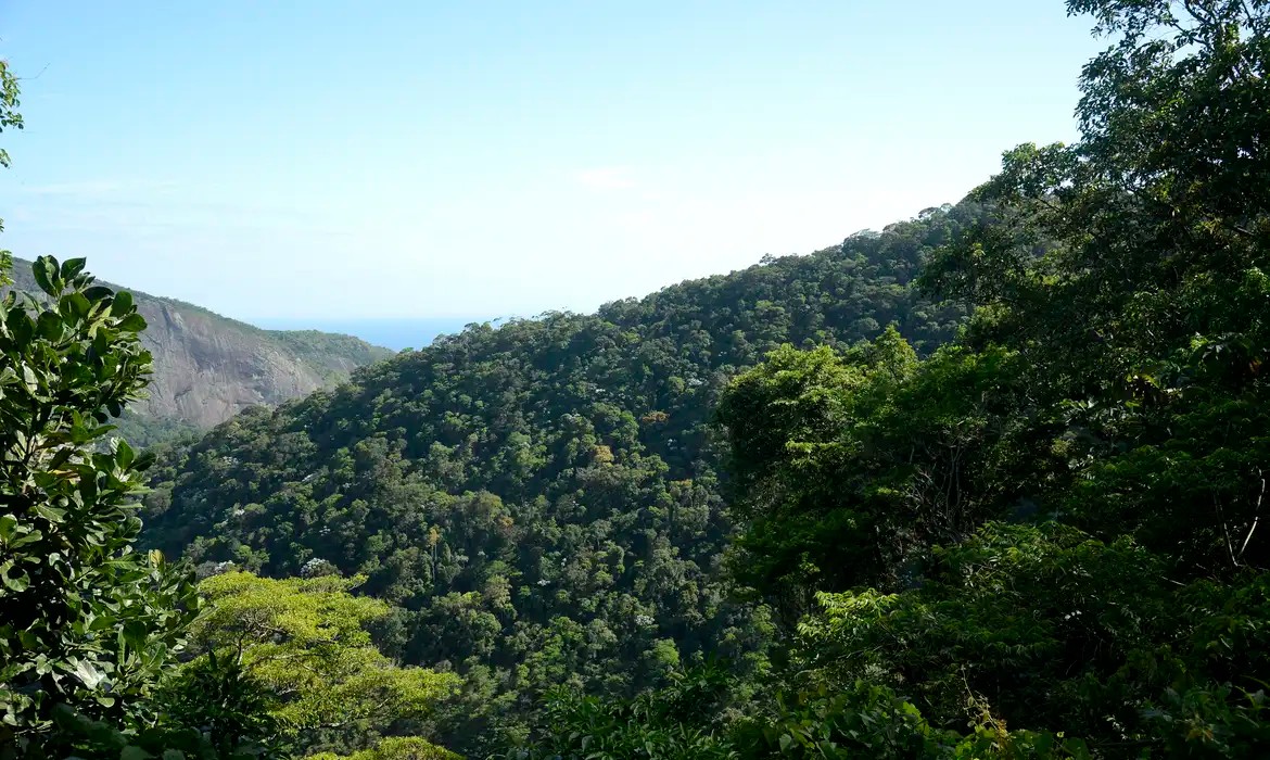 Foto: Tomaz Silva/Agência Brasil