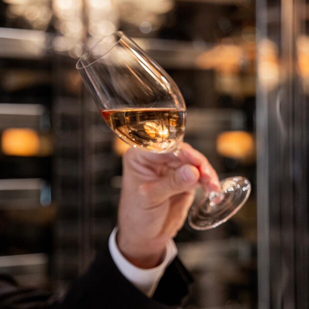 whatsapp image 2026 03 05 at 22.28.01