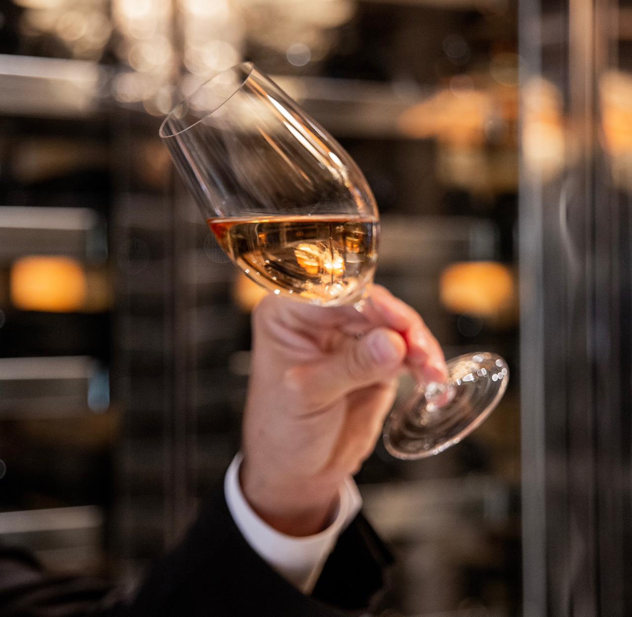 whatsapp image 2026 03 05 at 22.28.01