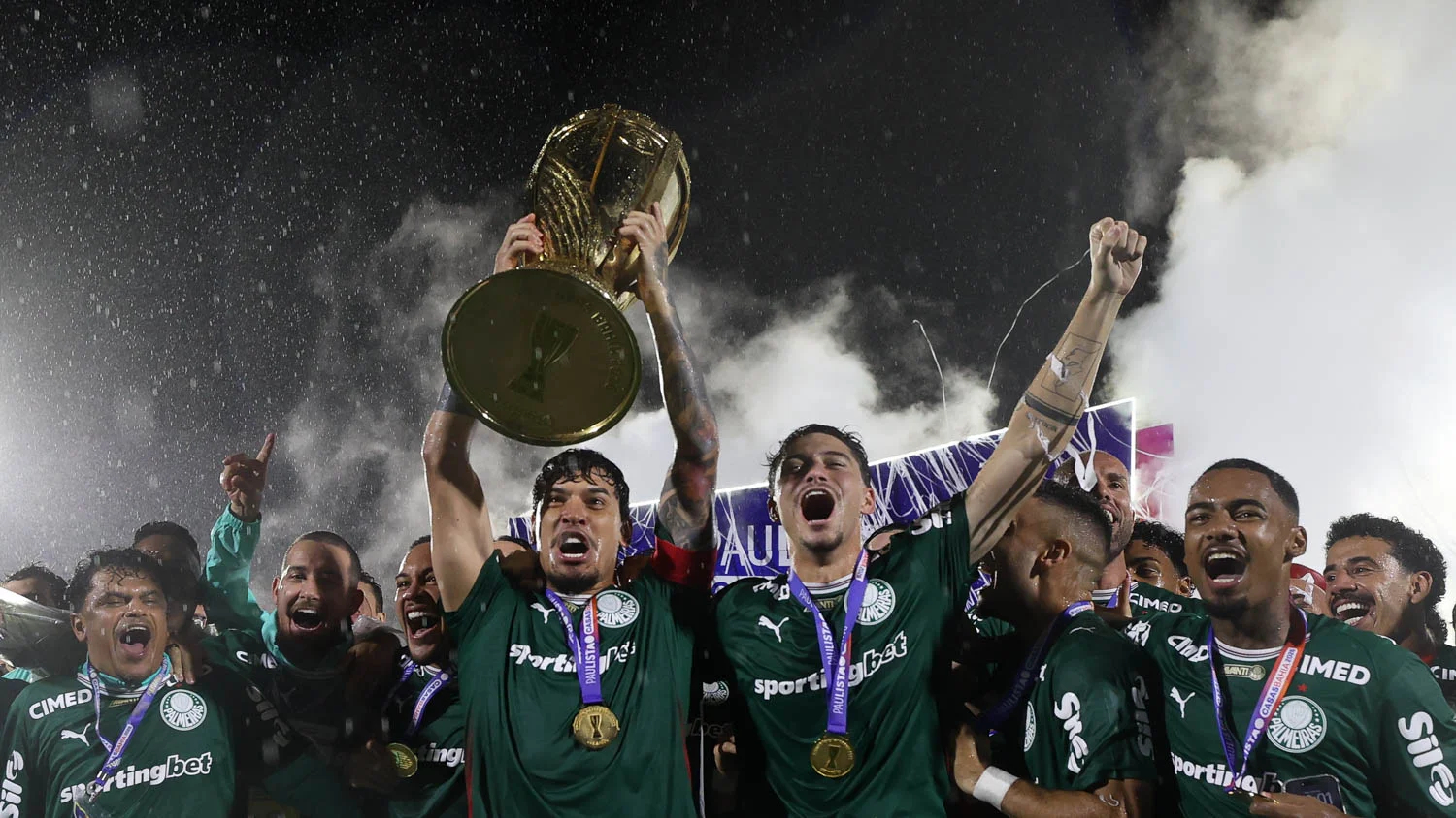palmeiras (2)