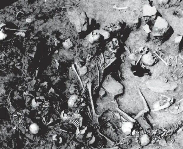 Foto: Museu de Voivodina/Nature