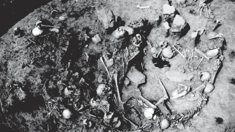 Foto: Museu de Voivodina/Nature