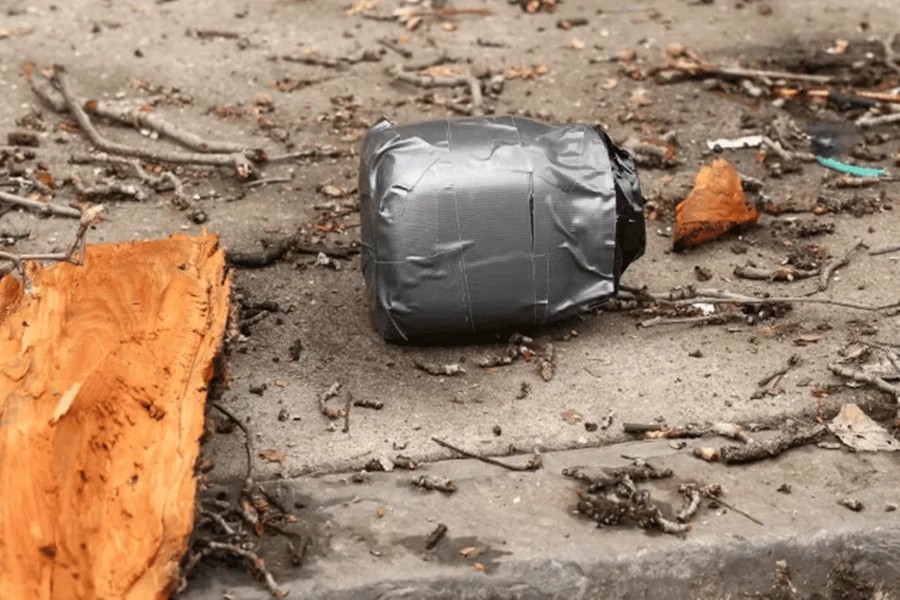 Detidos por lançar explosivos em protesto em NY são acusados de terrorismo