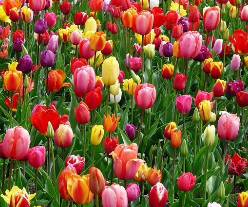 whatsapp image 2026 03 10 at 00.00.27