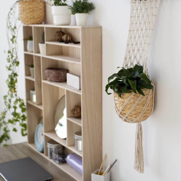 area organizada da casa