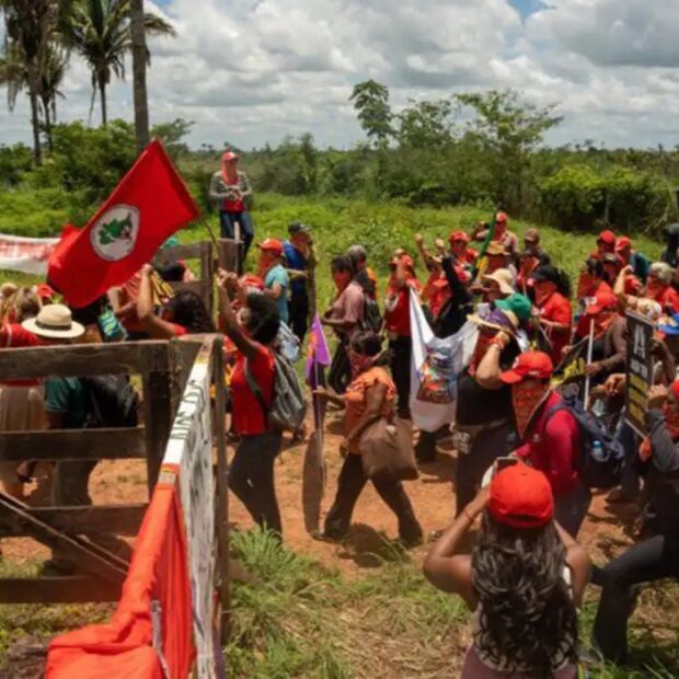 Foto: MST/Divulgação