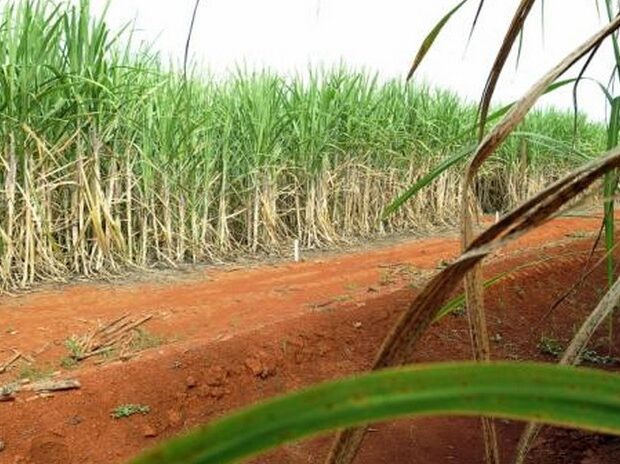 Foto: Elza Fiúza/Agência Brasil
