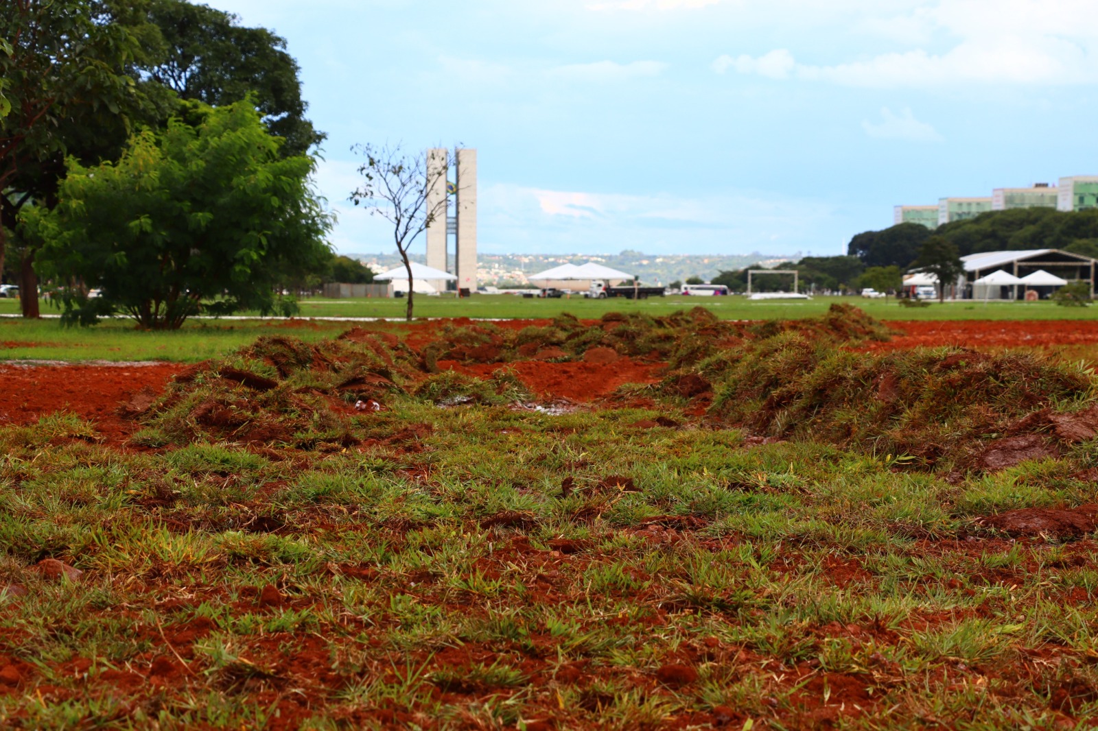grama novacap brasilia