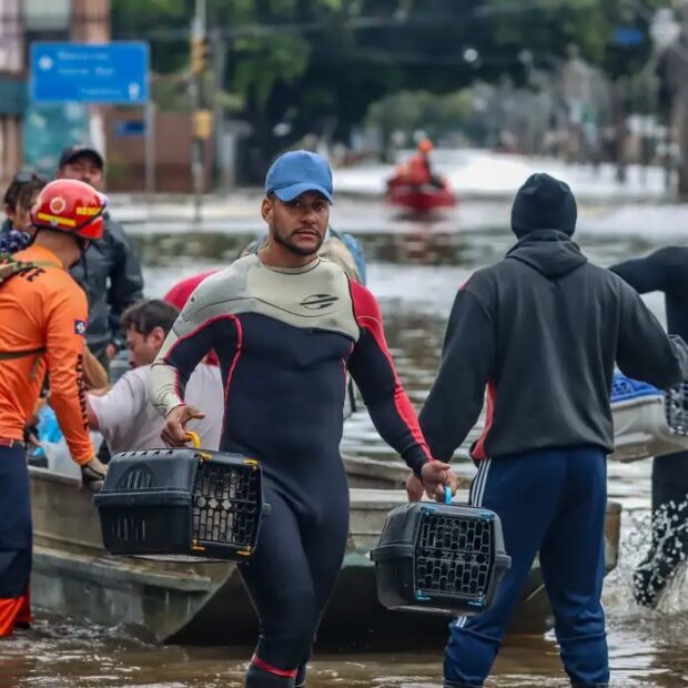 Foto: Rafa Neddermeyer/Agência Brasil