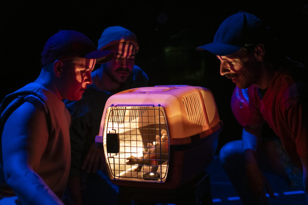 copia de 1000 passos por segundo foto diego bresani bre3783 2048x1365