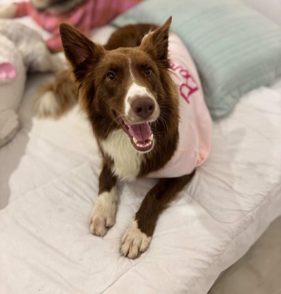 whatsapp image 2026 03 14 at 10.10.43