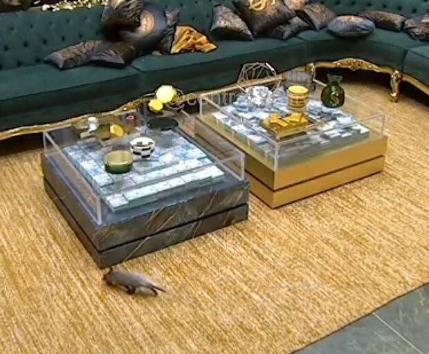 177347785769b51fe160fed 1773477857 3x2 md