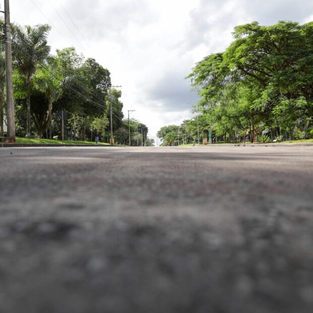 whatsapp image 2026 03 15 at 17.01.08