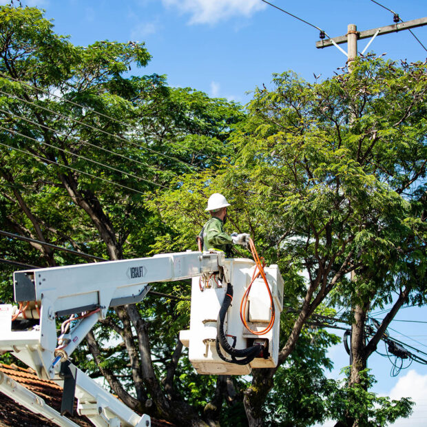 Foto: Divulgação/Neoenergia