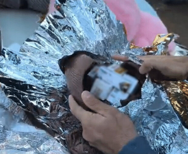 polícia acha remédios de emagrecimento em ovos de chocolate em ônibus em sp