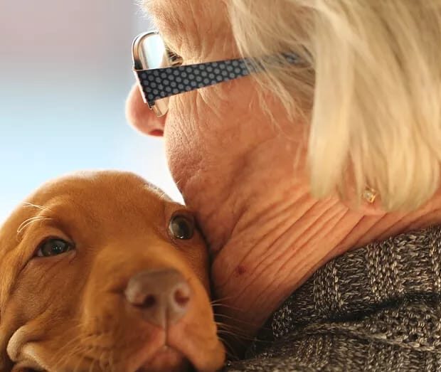 whatsapp image 2026 03 17 at 14.28.32