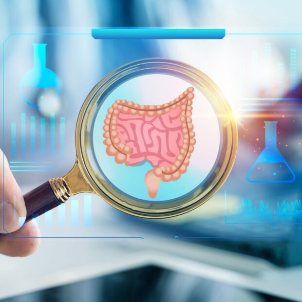 whatsapp image 2026 03 18 at 18.34.19