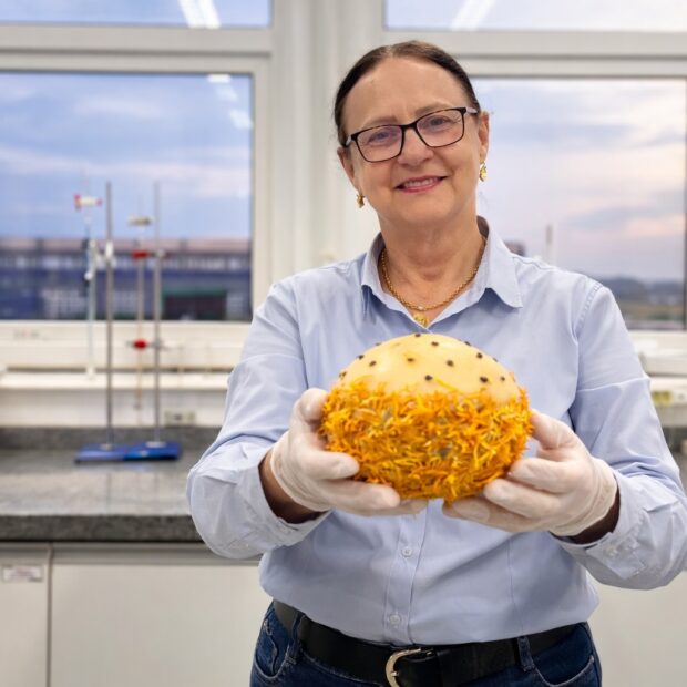 Carmen Donaduzzi: transformando ciência em legado e impacto nacional real Esqueça a métrica fria do faturamento bilionário; o que está em jogo aqui é a reconstrução da dignidade brasileira através do conhecimento aplicado Em um país que historicamente exporta cérebros e importa soluções, a trajetória de Carmen Donaduzzi, cofundadora da gigante Prati-Donaduzzi, não é apenas um "case" de sucesso empresarial. É um manifesto de resistência que prova: a inovação real não nasce em planilhas de curto prazo, mas no equilíbrio hercúleo entre o rigor científico e a sensibilidade de quem entende que educar é o único caminho para a soberania econômica. O cenário brasileiro dos anos 90 era um campo minado para qualquer entusiasta. Com o confisco da poupança pelo Plano Collor e uma inflação que devorava planos antes mesmo de serem escritos, empreender parecia um delírio. Segundo dados históricos do IBGE, o Brasil fechou a década de 80 com uma volatilidade que expulsou milhares de talentos para o exterior. Foi nesse vácuo que Carmen, mestre e doutora em Biotecnologia pela França, tomou a decisão estratégica de retornar. Ela não trouxe apenas diplomas na bagagem; trouxe a visão de que a saúde pública brasileira precisava de escala e acessibilidade, algo que a Associação Brasileira das Indústrias de Medicamentos Genéricos (PróGenéricos) aponta hoje como o pilar que economizou mais de R$ 240 bilhões aos bolsos dos brasileiros. Carmen Donaduzzi não é uma personagem de bastidor. Nascida no Rio Grande do Sul e formada pela UEM, ela é a força técnica que transformou uma garagem em Toledo, no interior do Paraná, em um império que hoje produz bilhões de doses anuais. Ao lado de seu marido, Luiz Donaduzzi, Carmen enfrentou a solidão da maternidade em solo estrangeiro e a escassez absoluta no retorno ao Brasil, vendendo chás porta a porta para viabilizar o que viria a ser a Prati-Donaduzzi. Nome completo, rosto e voz: Carmen é a síntese da mulher que precisou ser duas vezes melhor para ser ouvida em um setor farmacêutico majoritariamente masculino e tecnocrata. "A educação é a única ferramenta capaz de romper ciclos de exclusão. O conhecimento precisa circular, gerar oportunidades e permanecer na comunidade para que o ciclo de transformação seja real", afirma a Dra. Carmen Donaduzzi ao refletir sobre sua missão.