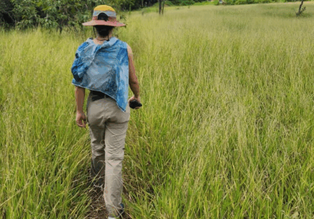 Foto: Divulgação/Sema-DF