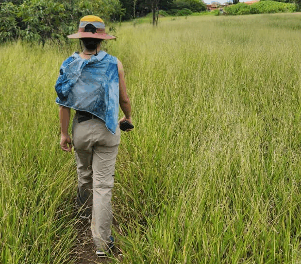 Foto: Divulgação/Sema-DF