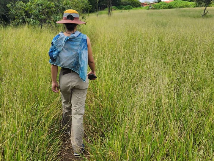 Foto: Divulgação/Sema-DF