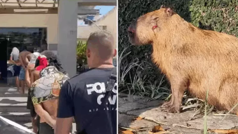 screenshot 155 800x450