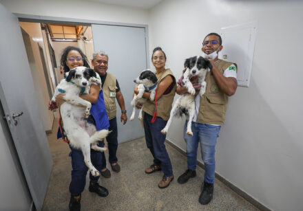 dentro zoonoses foto joel rodrigues