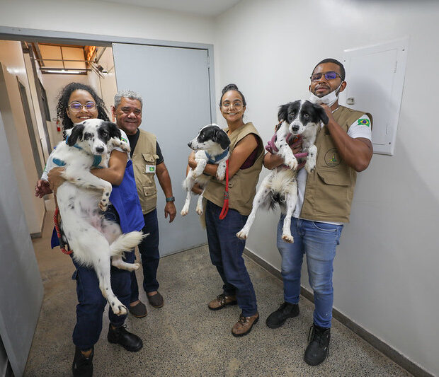 dentro zoonoses foto joel rodrigues