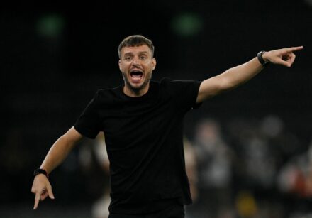 files fbl bra botafogo coach