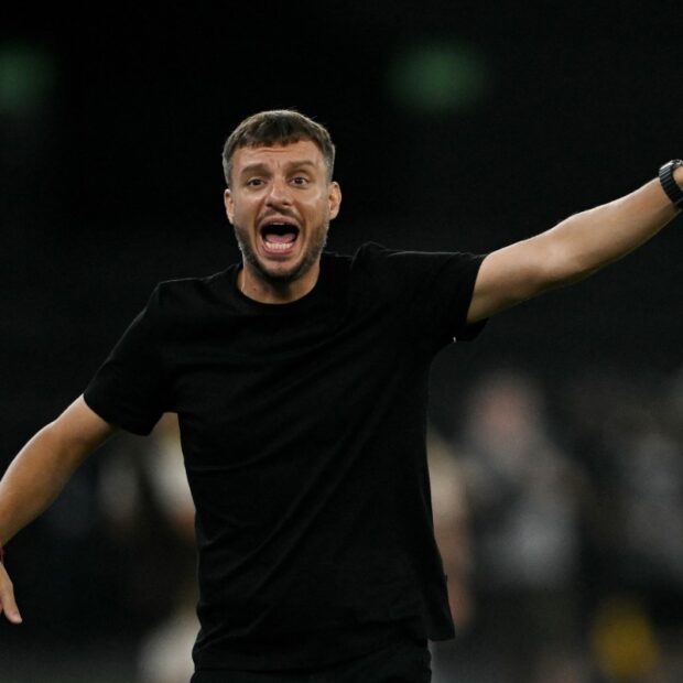 files fbl bra botafogo coach