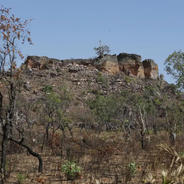 IA mapeia terras agrícolas abandonadas no Cerrado para restauração