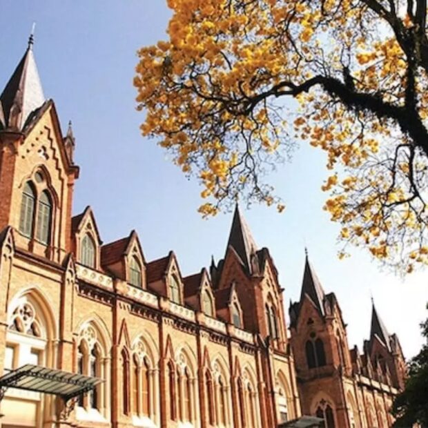 Foto: Divulgação via Irmandade da Santa Casa de São Paulo