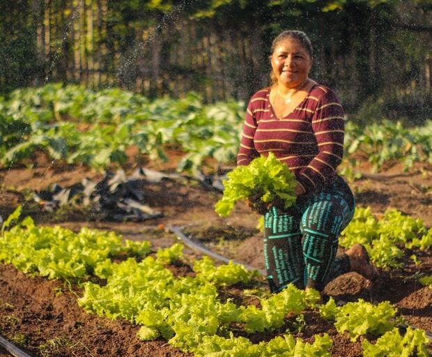 Foto: Yako Guerra/MDS