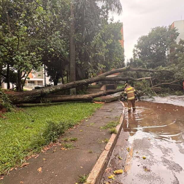 whatsapp image 2026 03 24 at 18.19.38