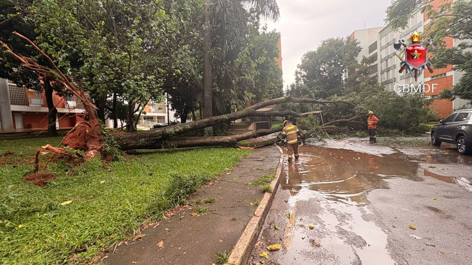 whatsapp image 2026 03 24 at 18.19.38