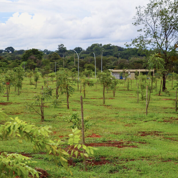 Foto: Divulgação/Novacap