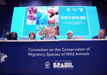 03a2bc7b 214c 4931 b445 982180e42afc