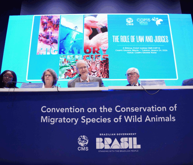 03a2bc7b 214c 4931 b445 982180e42afc