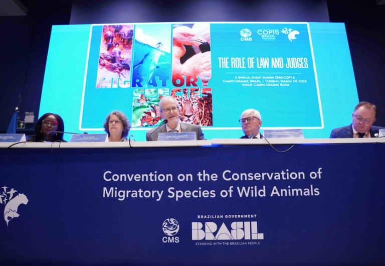 03a2bc7b 214c 4931 b445 982180e42afc