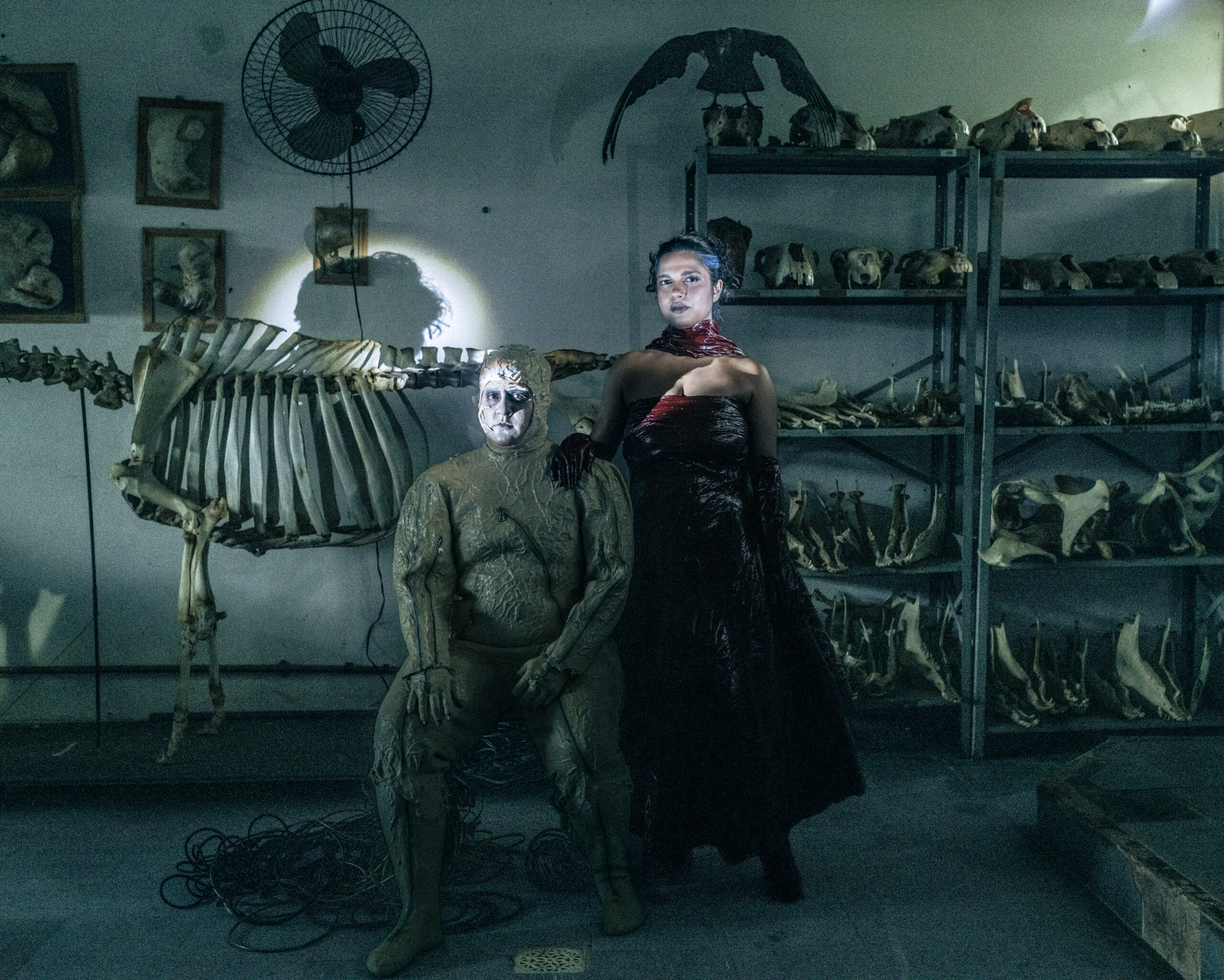 foto diego bresani 9